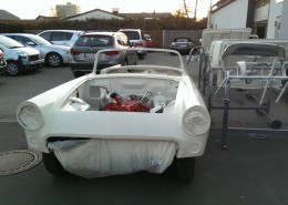 Ford Thunderbird - ... und wieder zurück - 002