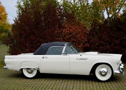 Ford Thunderbird - Abschluss 10 - 003