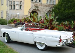Ford Thunderbird - Abschluss 12 - 002