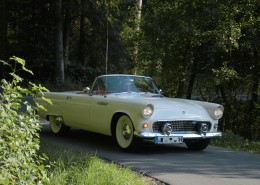 Ford Thunderbird - Abschluss 14 - 002