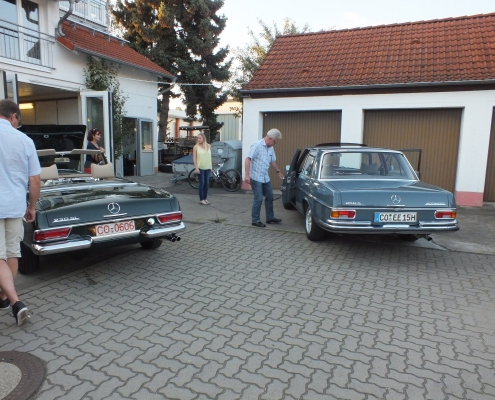 Vergleichsfahrt W113+W108 - 019
