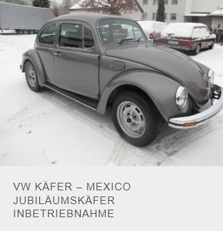 Mexiko-Käfer