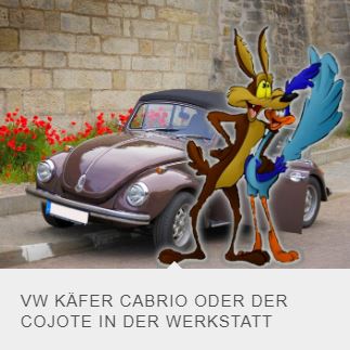 VW-Cojote