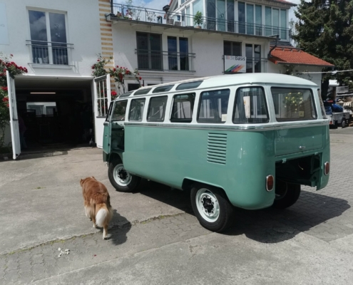 VW T1 Samba - Der Bus das ersta Mal auf eigener Achse - 002