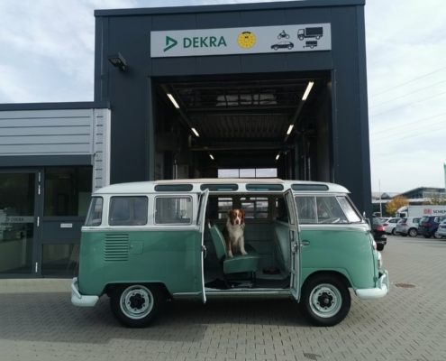 VW T1 Samba - der Kultbus DEKRA - 002