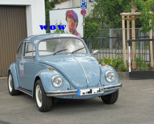 Käfer 1500 - Abschlußfoto - 001